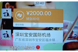 津市津市专业催债公司，专业催收